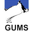 GUMS AIX